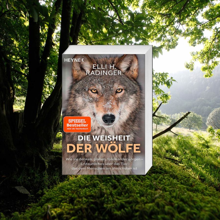 Rezept-omas-wildkraeuter-kartoffelsalat-vegan-lecker