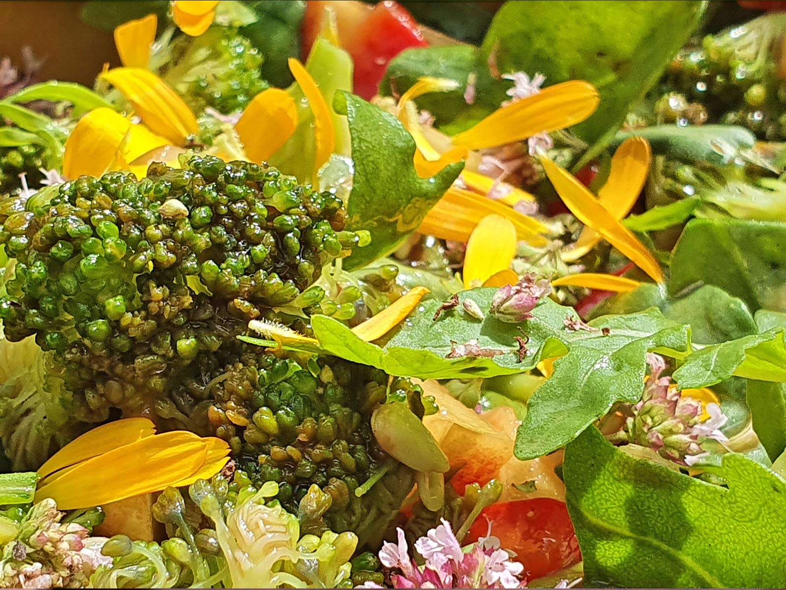 Brokkoli Wildkräuter Salat